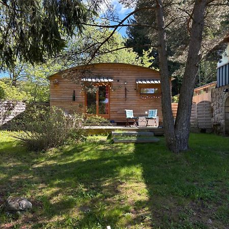 Chalet Grenouille Domaine De La Mamounette Champclause Exteriör bild