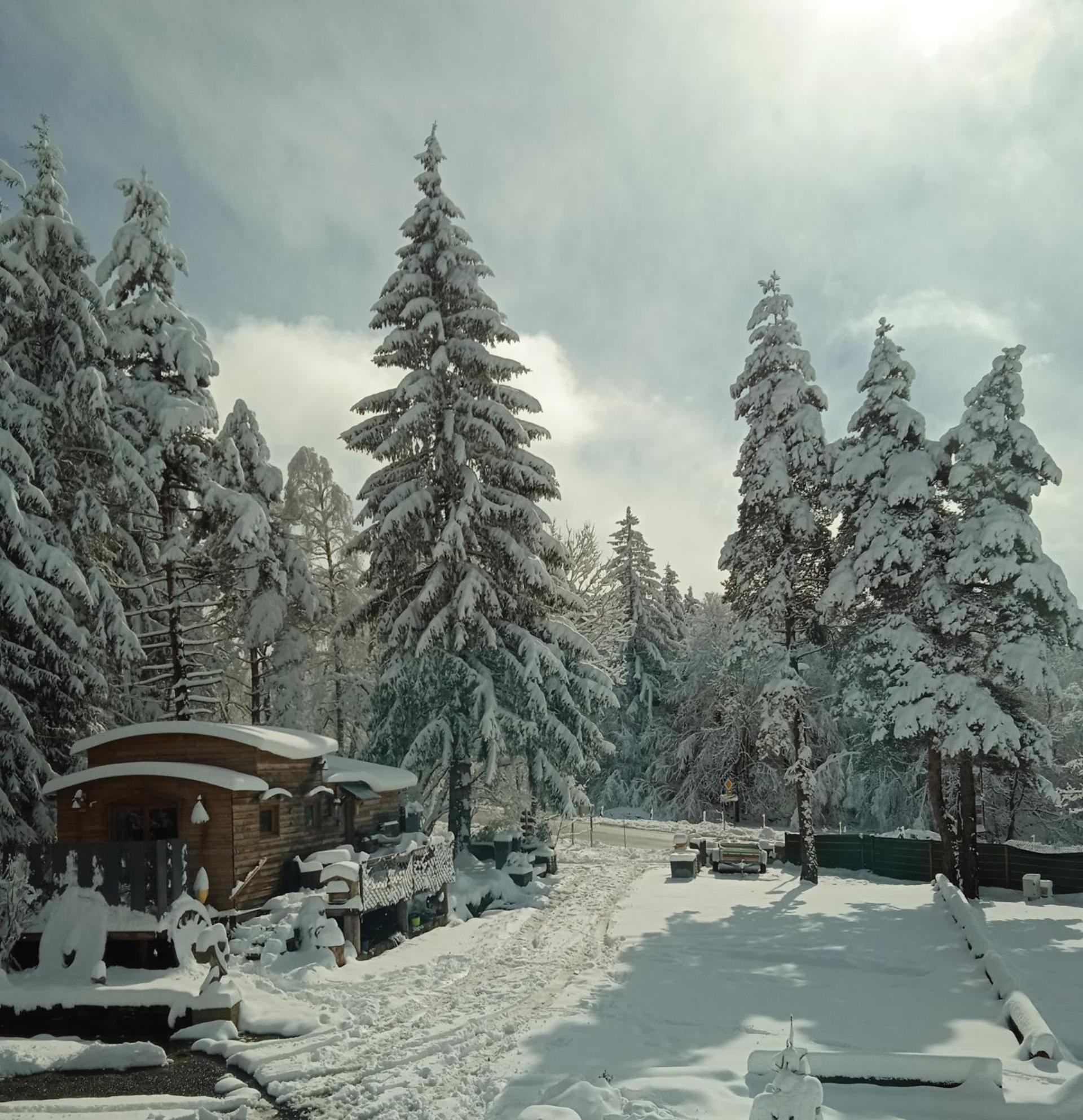 Chalet Grenouille Domaine De La Mamounette Champclause Exteriör bild